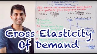 Y1 13 Cross Elasticity Of Demand Xed