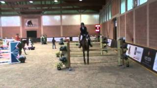 Quasimodo X Mr.blue Youngster Tour