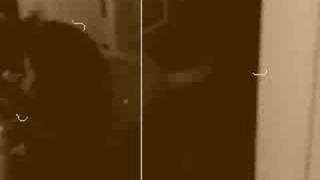 Pooka The Cairnpoo Vs Romeo The Cat