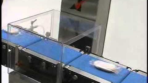 Checkweigher Model PW/12 | Feature: Air Blast Reject with Standard Draft Hood