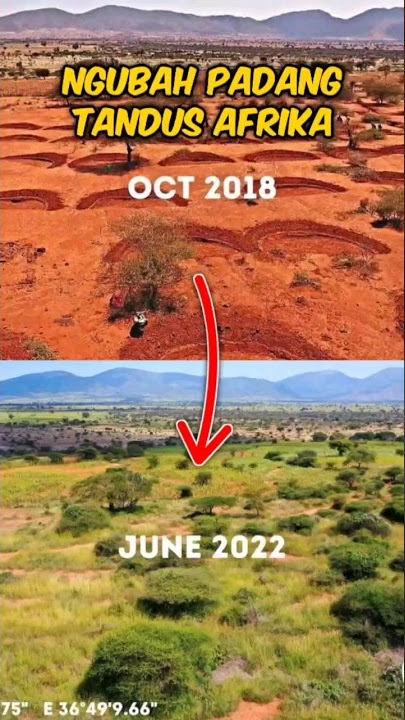 Cara Afrika Ngubah Lahan Kering jadi Hijau #padangafrika #penghijauan #kekeringan #viral