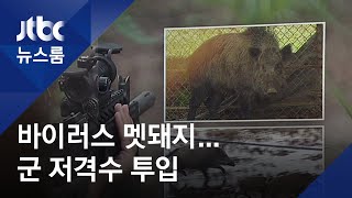감염지역 멧돼지 '철책 봉쇄'…민통선 내 '저격수 투입'