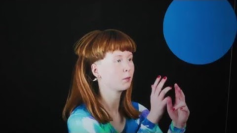 CURIOSITY KILLED THE CAT   - Het Nutshuis