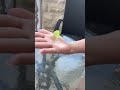 18 мая 2026 г.