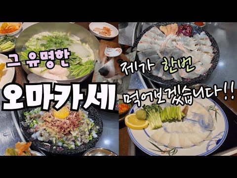 힘찬갯벌낙지
