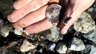 Поиск царских монет на затопленном городе(р,Волга).