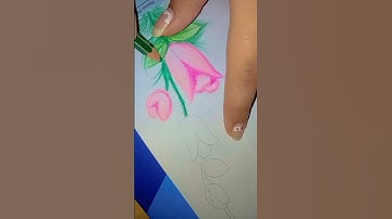 flower border design for school projects #project  #border #divyuart #subscribe #youtubeshorts