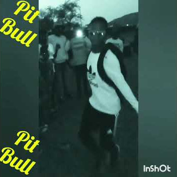 Pit Bull S,A#Lord Of Dance...Mydi Nike Fam 112🔥🎶💃💃💃