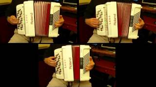 The Donkey Round (3 Accordions) screenshot 4