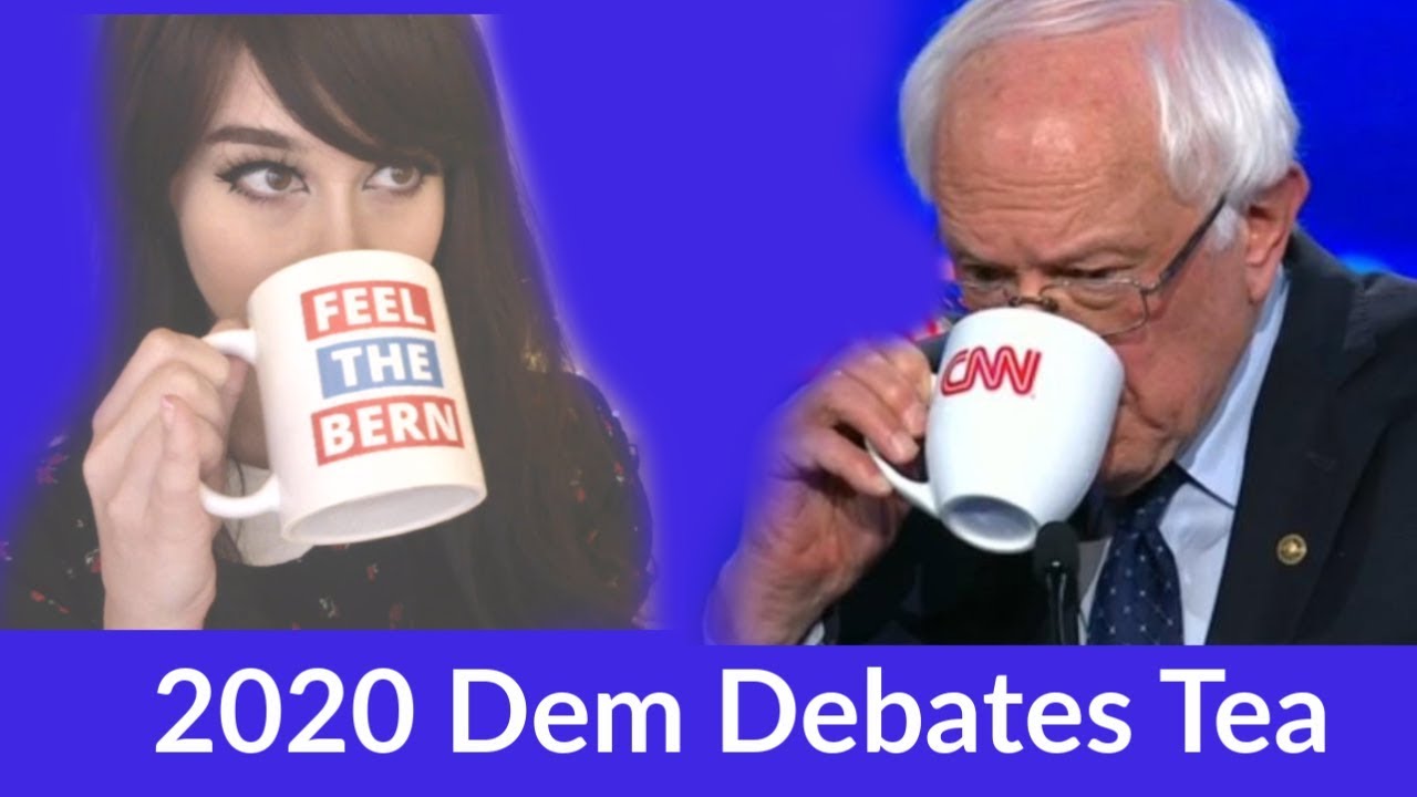 Thoughts on the DEMOCRATIC DEBATE CIRCUS (night 1 & 2) - Political comedy personality "Shoeonhead" explains her thoughts on the 2020 US election Democratic debates.