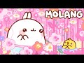 Molang 🐰 香水 THE PERFUME 💨 Cartoons collection 🌈 Cartoon For Kids ⭐ Super Toons TV アニメ