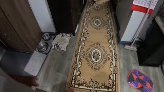 New Carpet Runners And A New Printer For Us On The Farm