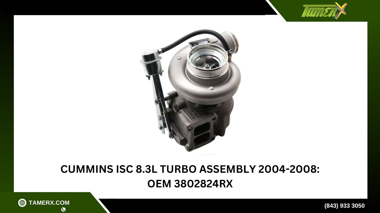 シズシズ TS2BD] - TS Twin Plate Clutch for Nissan R32/R33 RB20/25/26