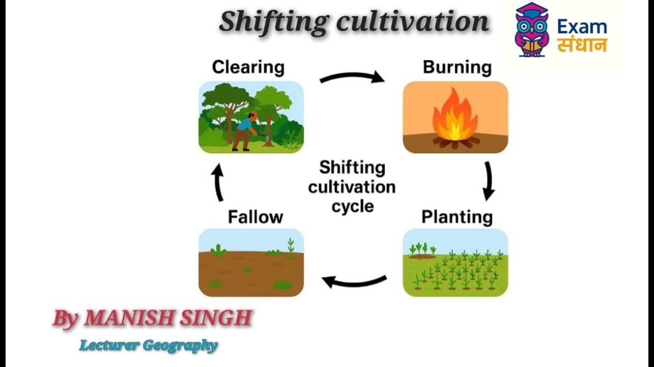 Shifting cultivation (स्थानांतरित कृषि)
