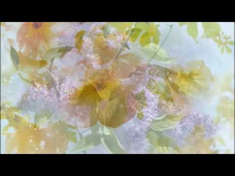 ENTRE DOS AGUAS - PACO DE LUCÍA.- guitarra clásica