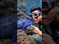 Amazing 🐟