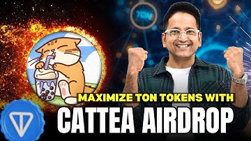 Maximize TON Tokens with Cattea Airdrop | Telegram Blockchain