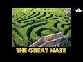 The Great Maze VS AMWAY - เปรียบเทียบแอมเวย์กับเขาวงกต EDC ชลพร