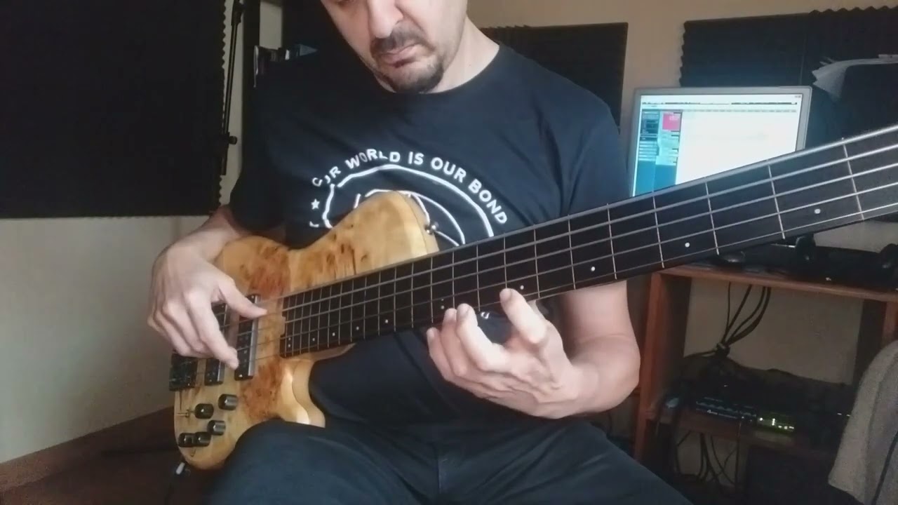 SLIDING HARMONICS ON FRETLESS BASS.