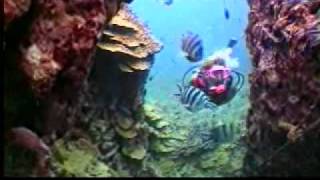 Guam Us Territory Diverse Gateway Travel Destination