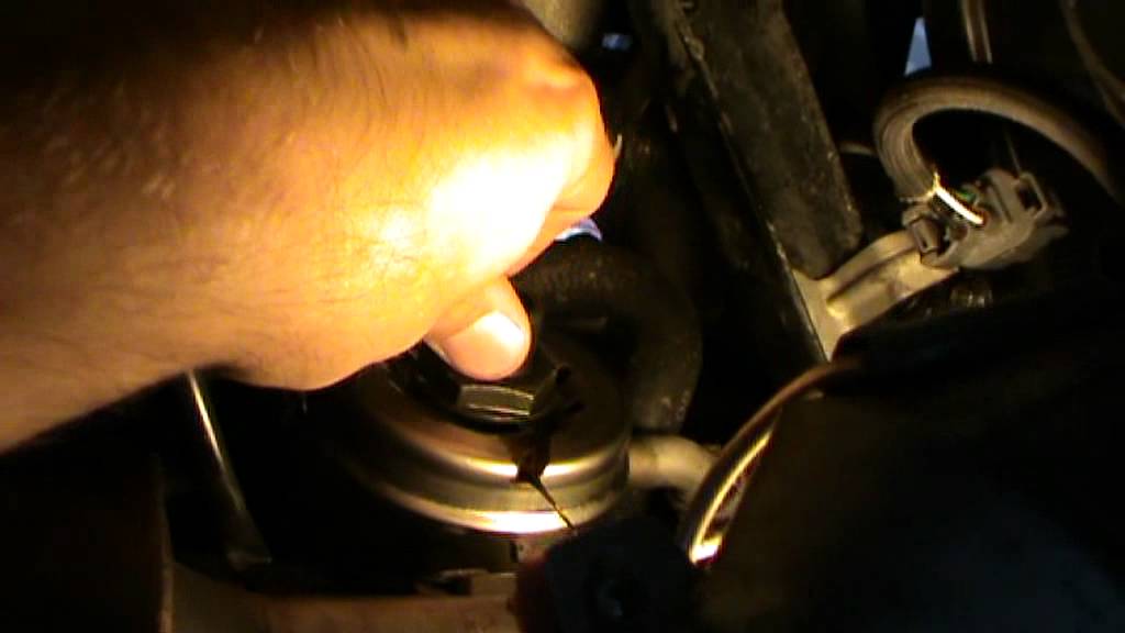 How to replace Honda oil cooler oring YouTube