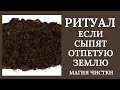 Если сыпят отпетую землю. Ритуал онлайн с чисткой порчи через землю.