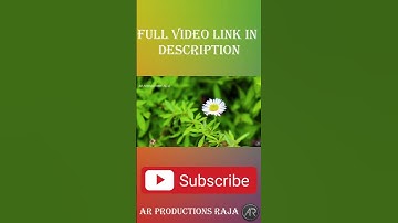 How to Divide Numbers in Excel (Basic way)|AR PRODUCTIONS RAJA