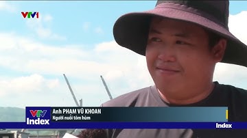 [TÀI CHÍNH KINH DOANH] Xuất cấp hàng dự trữ cấp quốc gia khắc phục mưa lũ tại Huế | VTVIndex