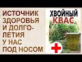Хвойный квас на медной воде - сибирский рецепт здоровья и долголетия