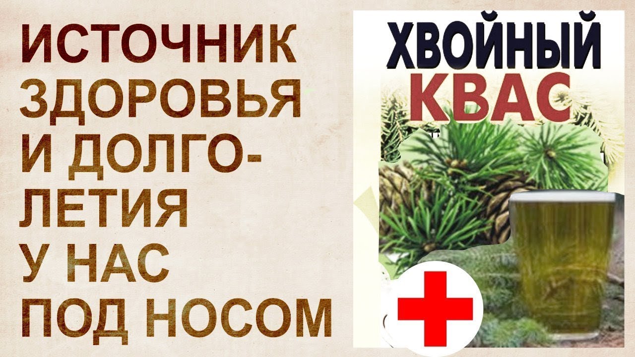 Хвойный квас. Хвойный квас чудо бальзам для здоровья и долголетия. Хвойный квас на медной воде. Квас из сосновых иголок.