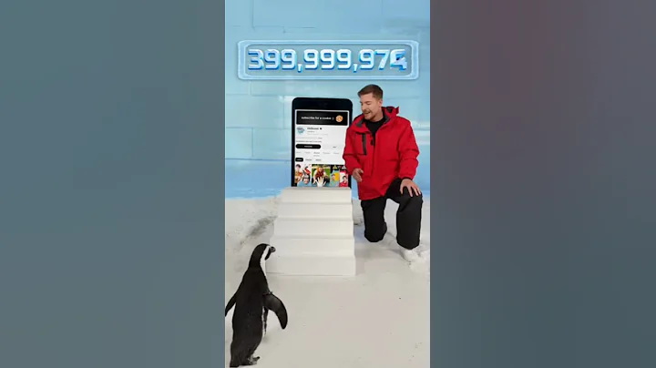 Mr Beast ( can I teach this penguin to subscribe) #mrbeast #shorts