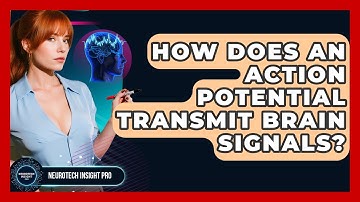 How Does An Action Potential Transmit Brain Signals? - Neurotech Insight Pro