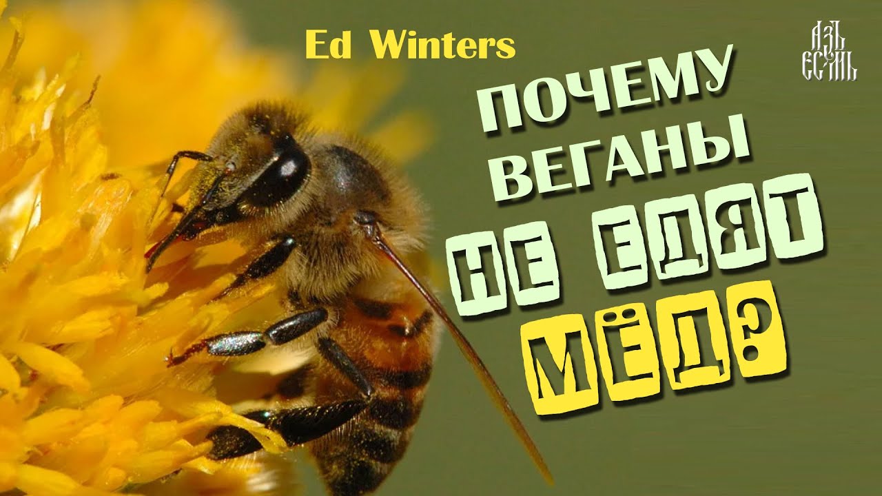 Почему веганы не едят мёд? (Earthling Ed)