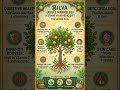 DRUG-BILVA✨️🌿🌱 The "Ancient Wisdom" Vibe