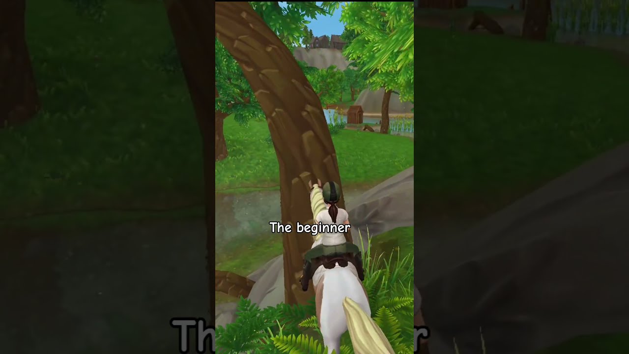 Types Of Sso Players Starstableonline Starstable Typesofpeople Typesofplayers Horses