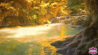 Kişisel Gelişim Motivasyon - Farkındalık Nedir ? 10 Farkındalık İlkesi