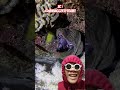 waduh ikan nya galak🤯😨 #dubbing #funny #remix #shorts #reaction