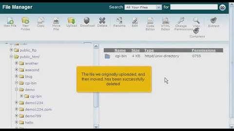 How to Use File Manager in cPanel