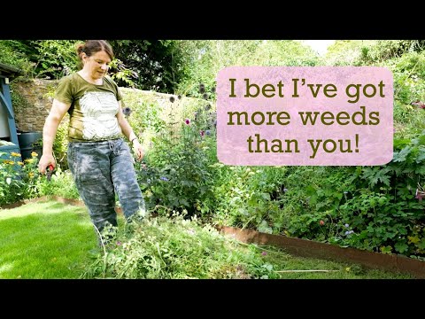 Video: Kas ir uzturēšanās dārzs: uzziniet dažas radošas uzturēšanās dārza idejas