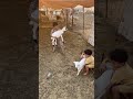 هربت منه