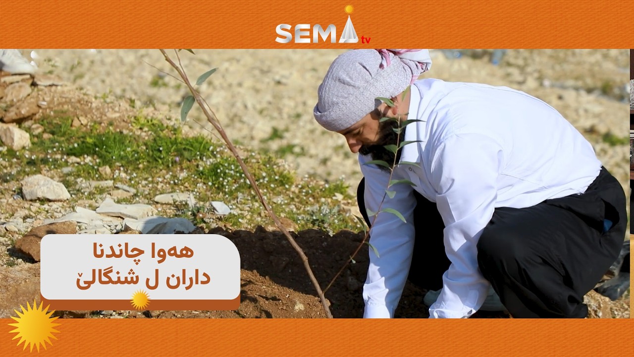 چيايێ شنگالێ كه‌سك دبت.. هه‌وه‌كا چاندنا 400 داران ل مه‌زارگه‌هێ مه‌له‌ك فه‌خره‌دين ده‌ستپێكر.