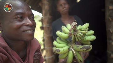 We Are Able! How Inclusion Transforms Lives & Land (Audio Description)