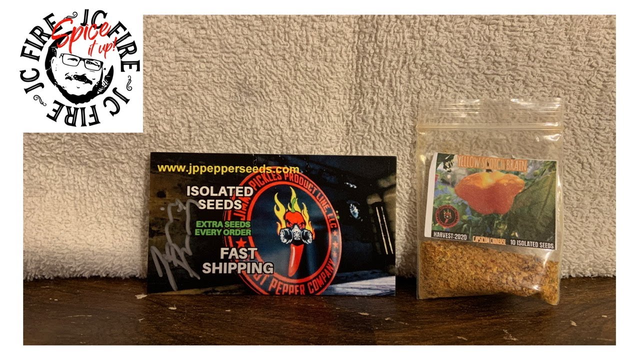 YELLOW SCOTCH BRAIN HOT PEPPER POWDER FROM JIMMY'S PICKLES PEPPER SEEDS! HICCUP ALERT! YouTube