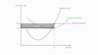 Introduction to Perfect Competition