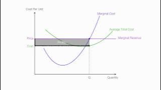 Introduction to Perfect Competition