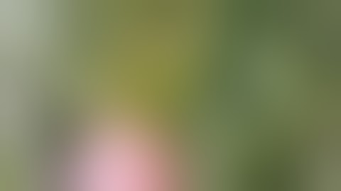 Stem rot and how to take care of it!