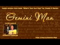 Gemini Man - In the voice of Sudeshna Chatterjee