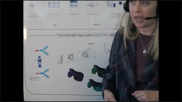 Bruker Mass Spec Virtual Live Demo:   MALDI IHC Imaging in whole tissue sections