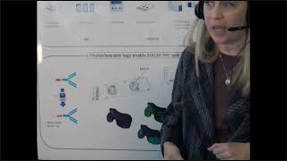 Bruker Mass Spec Virtual Live Demo:   MALDI IHC Imaging in whole tissue sections