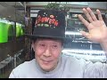 물항열대어TV] 빈손없다. 챙겨가. 그냥가지마세요. 메리크리스마스. 물항가족들 작은정성들 모아서 오늘밤 8시 이벤트. 한분도빠짐없이 전원 선물준비하였습니다. 놀러오세요.